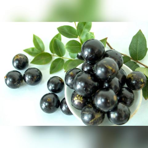 五行查询表什么命(查五行是什么命人)