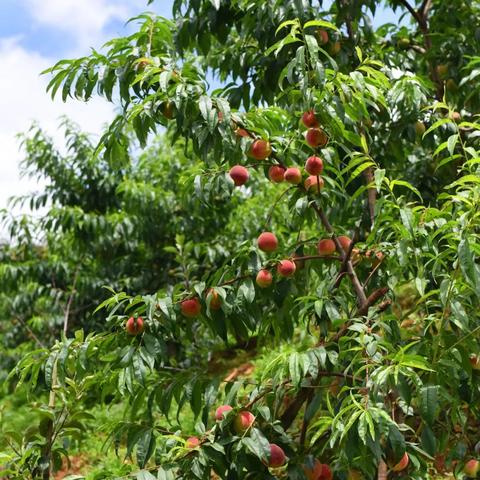 2025.12.2昆明今天空气质量指数怎么样