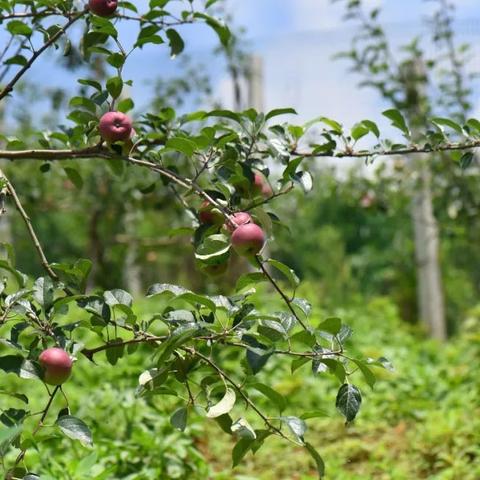 2025.12.22昆明今天空气质量指数怎么样