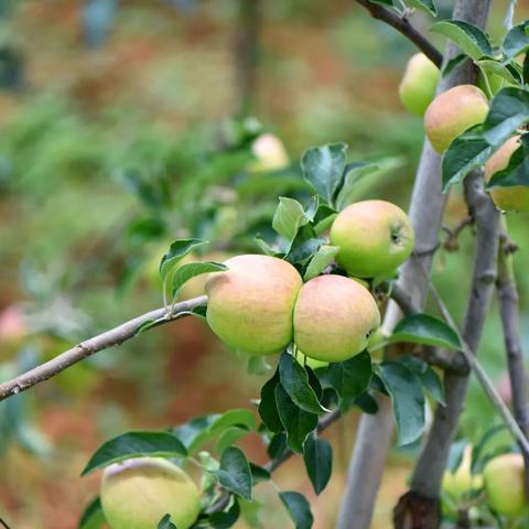 2025.12.13昆明今天空气质量指数怎么样