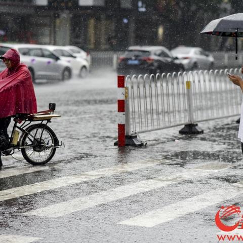 广州市二宫在什么区