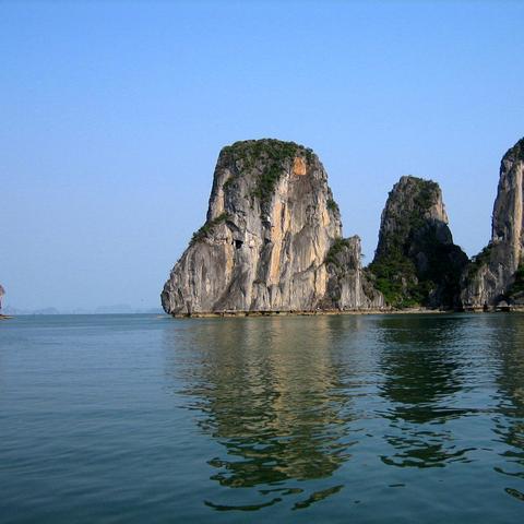 桂林哪里有野猪肉卖相关长尾关键词有哪些