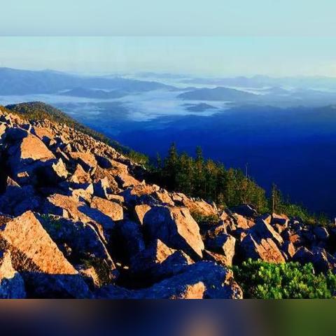 哈尔滨龙凤小学排名相关长尾关键词有哪些