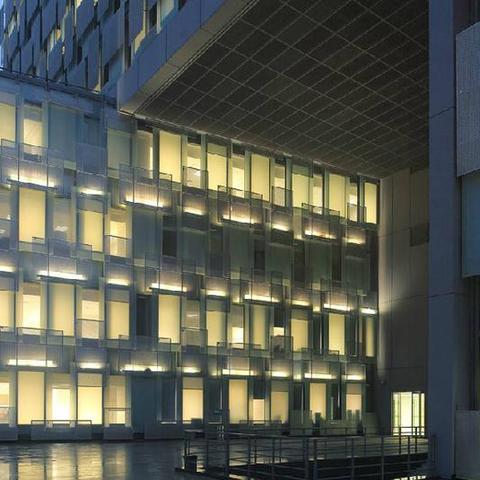 想回合肥发展，目前合肥做什么生意最好？