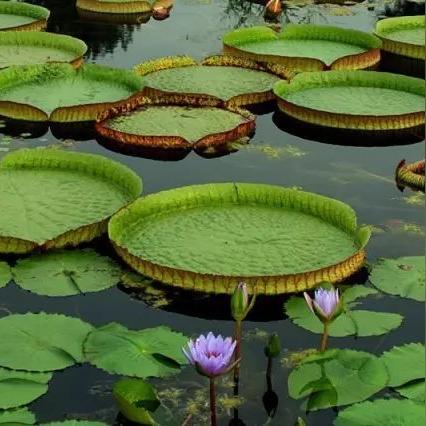 临沂市河湾公园地址在哪里