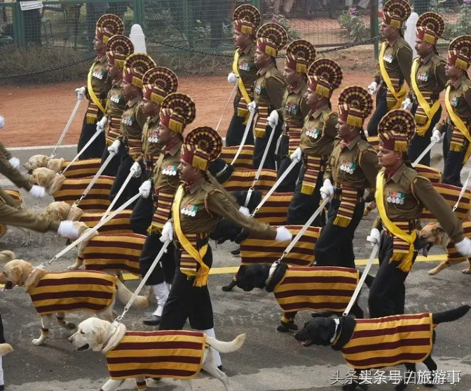 运营独立站是什么岗位 运营独立站是什么