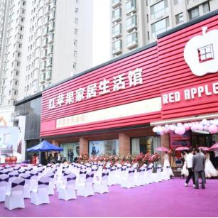 石家庄市哪个市场苹果好