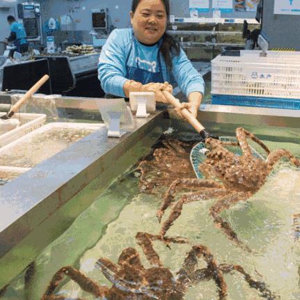 上海盒马哪些店开门