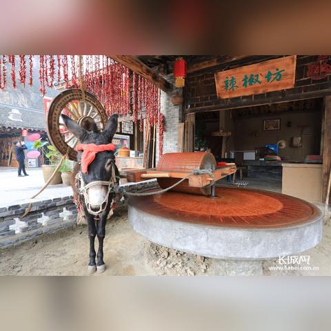 保定市教科所扶贫的长尾关键词有什么