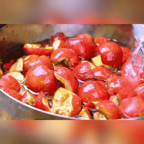 南宁市山楂树摄影中心怎么样