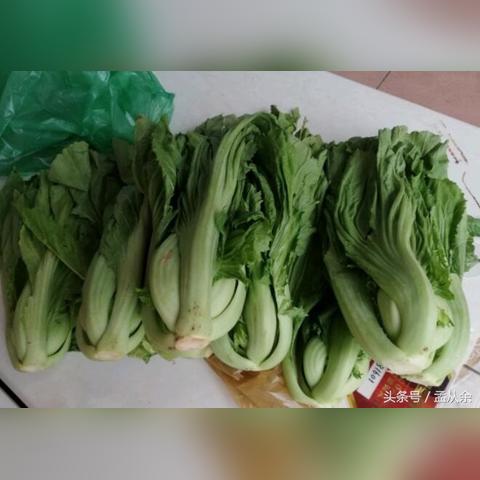 芥菜心的做法大全的长尾关键词有什么