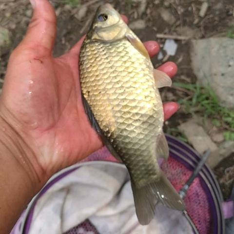 安排行程的软件的长尾关键词是什么