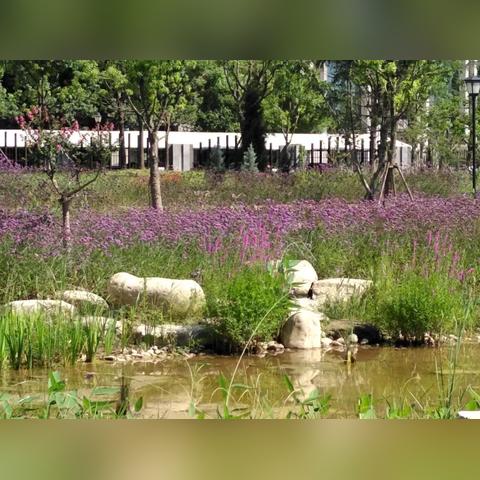 武汉市海绵城市的长尾关键词有哪些