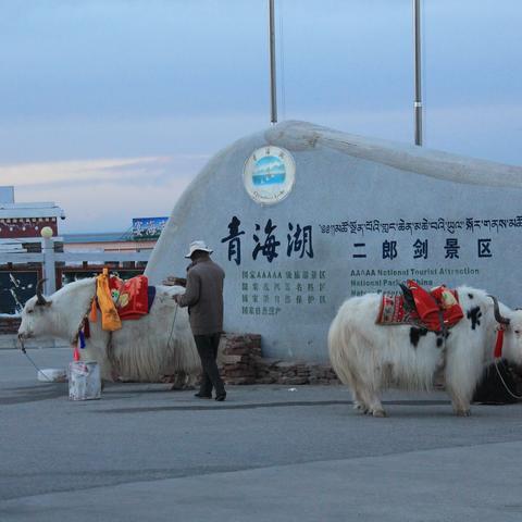 兰州鸽子市每周几开放的相关长尾关键词有哪些