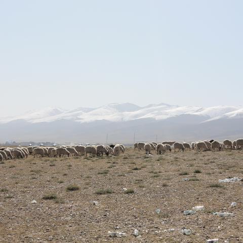 兰州市哪里有西服店卖