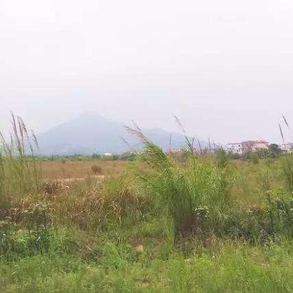 广东佛山市江门房价的长尾关键词有什么