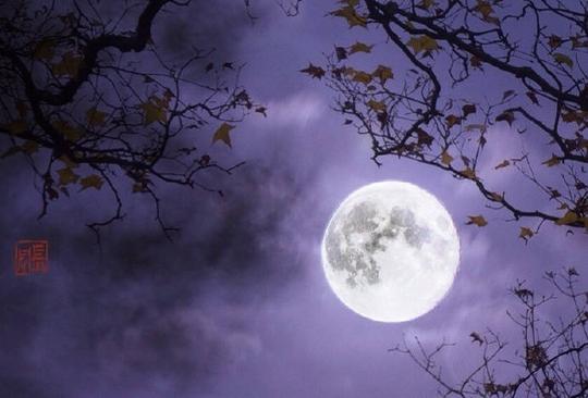 朦胧意境美图片赏析：夜宁静，风无声，适合静下心来慢慢欣赏