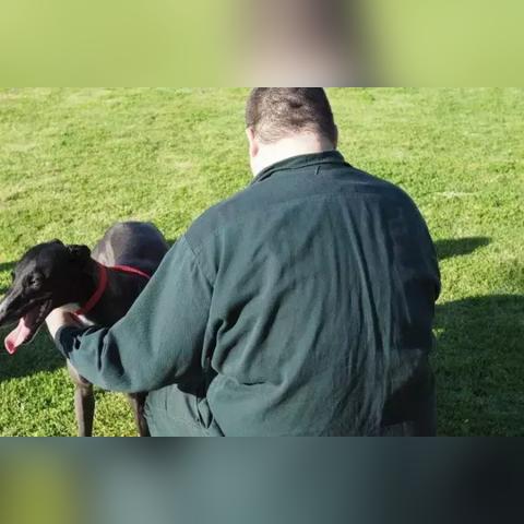 广东省佛山市狗狗训练场的长尾关键词有什么