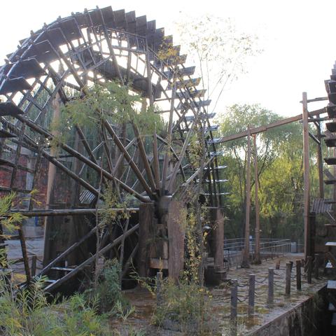 兰州市烤全羊去哪里
