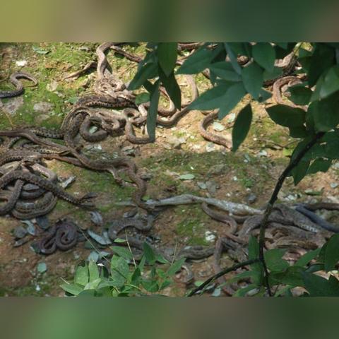 辽宁省大连市是什么气候