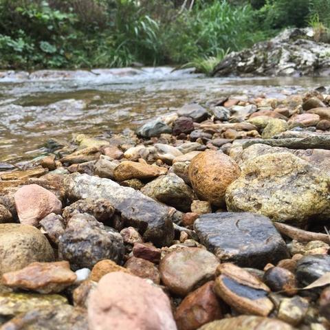 广州市白云区有什么河流