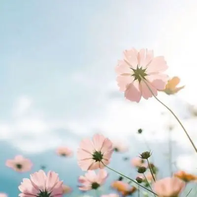 微信直播关注在哪找 手机在哪找微信关注的直播