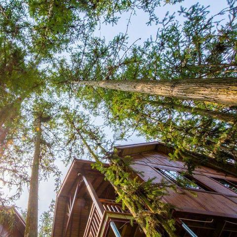 桂林别墅哪家好又便宜相关长尾关键词有哪些