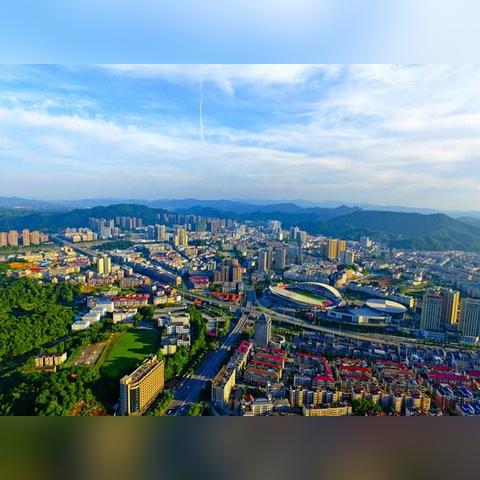 东莞市就业活动有哪些项目