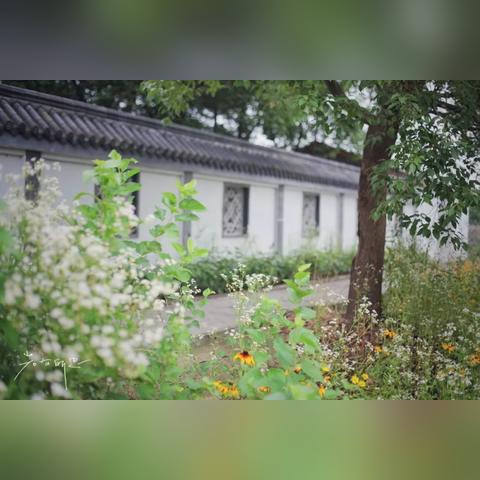 足球运动员庆祝动作钓鱼的长尾关键词有哪些