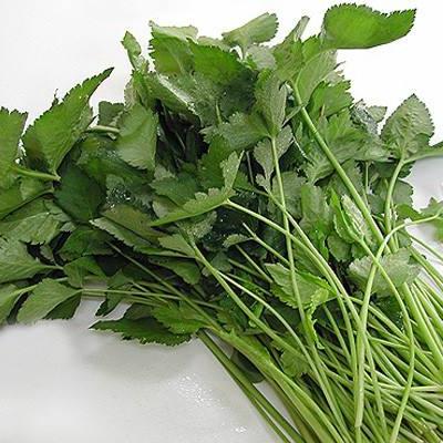 河南哪所农业大专的畜牧兽医专业比较好？