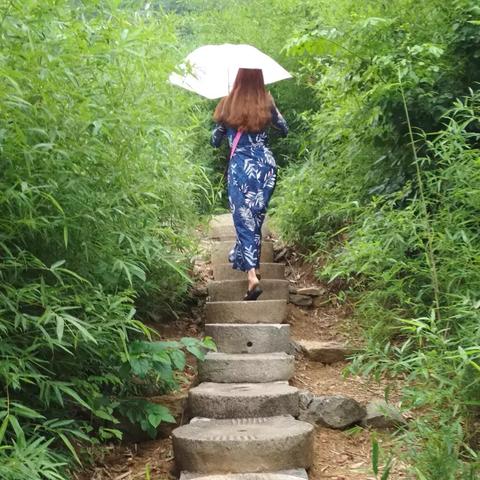 2025.11.19临沂今天空气质量指数怎么样