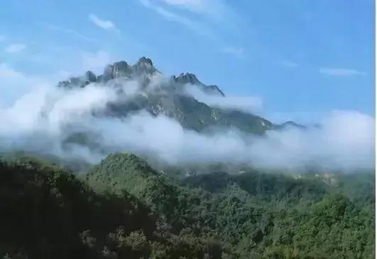 那坡县有什么美食（过年期间自驾出游）
