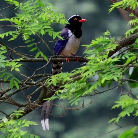 窗外电影全部长尾关键词