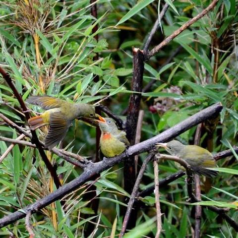 妈妈圈网站的长尾关键词有哪些