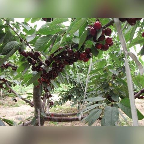 邢台市到大连火车的长尾关键词有什么