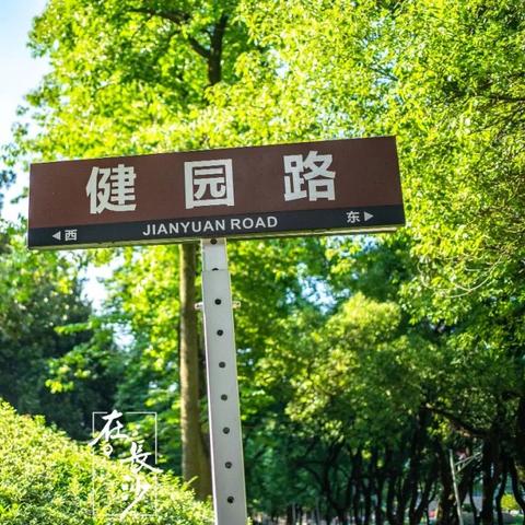 长沙市区有什么路名