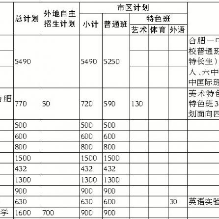 合肥市国际班哪个好