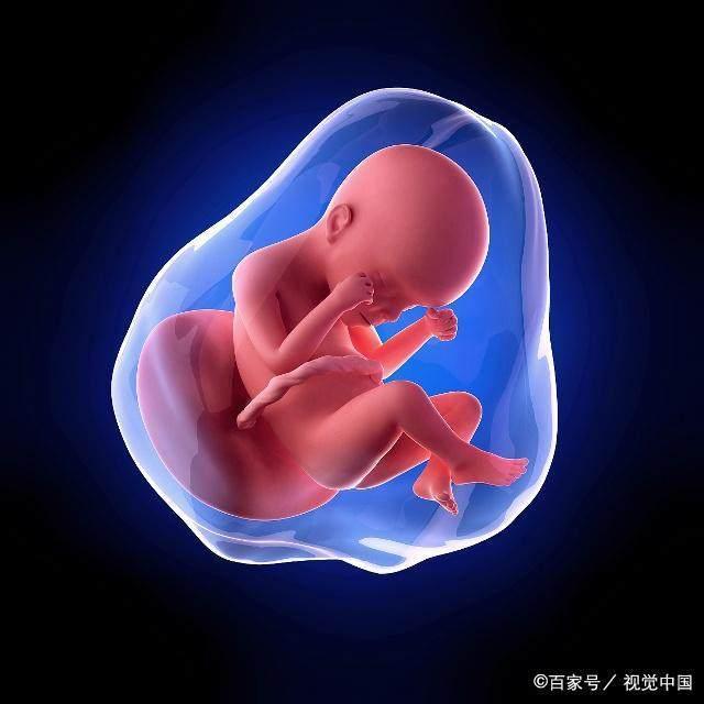有必要保存新生儿脐带血吗