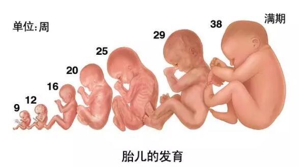 孕期怎么和胎儿互动