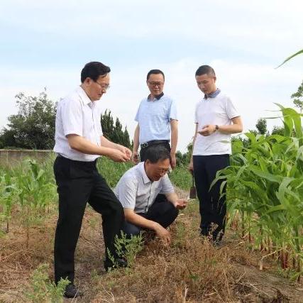 南通综艺股份相关长尾关键词有哪些