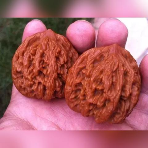 保定市哪里收核桃的长尾关键词有什么