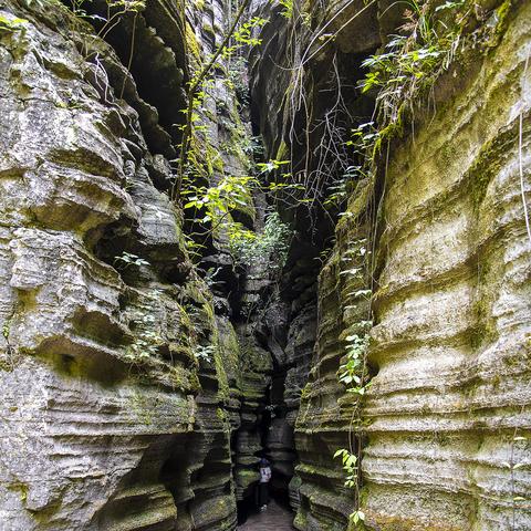 中山回去桂林要隔离吗相关长尾关键词有哪些