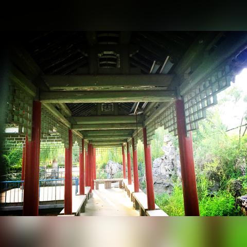 兰州市西园街道在哪里