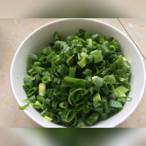 洋葱苗周口市有卖吗多少钱