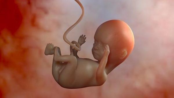 孕32周胎儿真实图图片