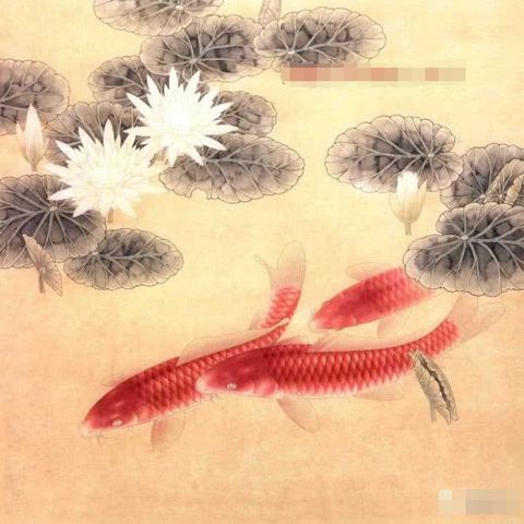 杭州市清水的相关长尾关键词有哪些