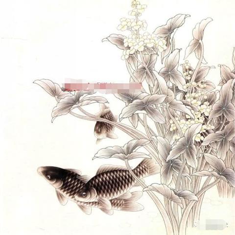 被队友绿的足球运动员的长尾关键词有什么