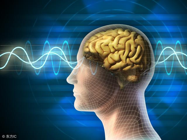 哪些因素会影响到孩子的智商