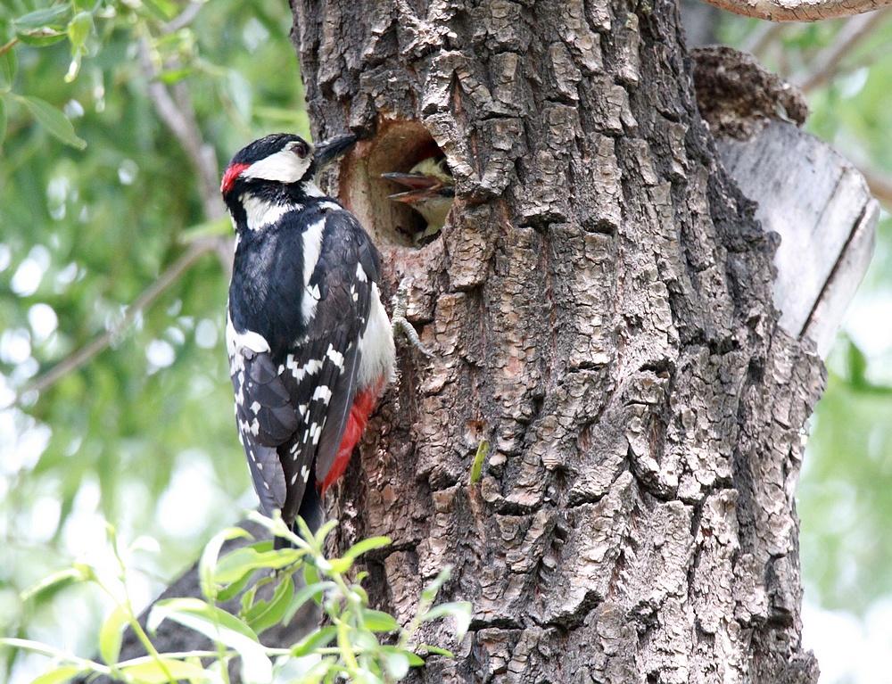 流体传动与控制议论文素材动力与能源工程流体和机械哪个好