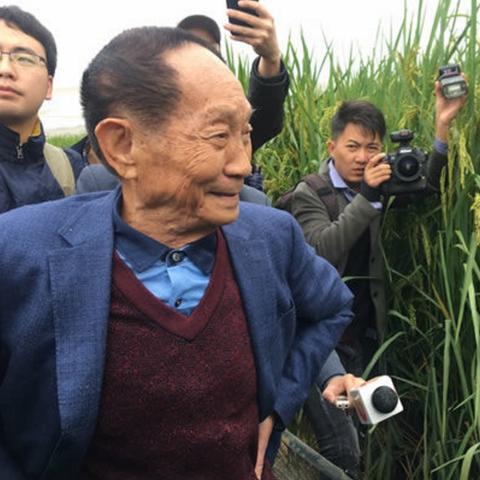 长沙沙漠拍照相关长尾关键词有哪些